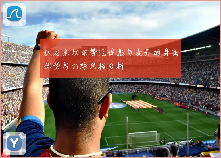狄龙米切尔赞范德彪与麦丹的身高优势与打球风格分析
