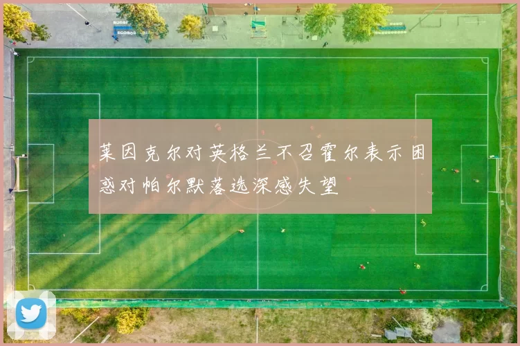 莱因克尔对英格兰不召霍尔表示困惑对帕尔默落选深感失望